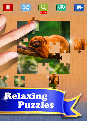 Daily Jigsaw Puzzles screenshot 5