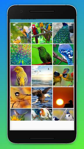 Bird HD Zedge Wallpapers screenshot 3