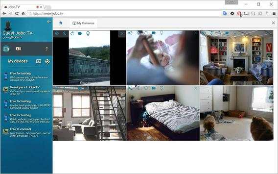 Security web camera screenshot 10