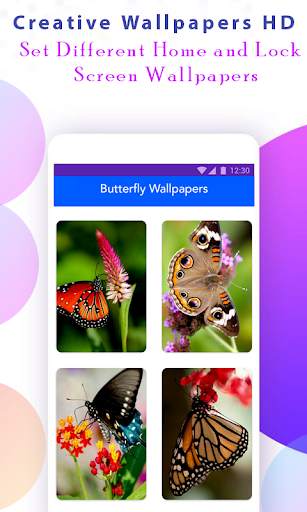 Butterfly Wallpaper HD screenshot 2