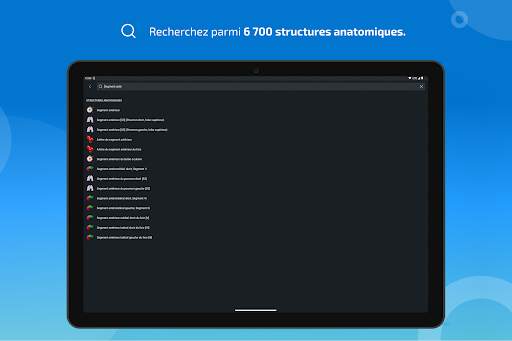 e-Anatomy screenshot 11