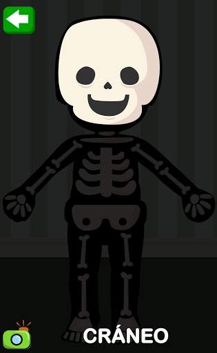 Partes del Cuerpo para Niños screenshot 6