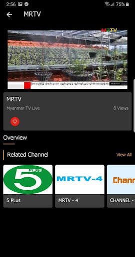 M LIVE screenshot 3