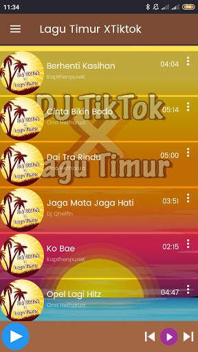 DJ TikTok x Lagu Timur Offline screenshot 3