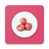 Onion Storage आइकन