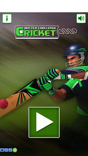 Cricket challenge Game 2020 screenshot 1