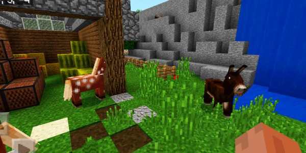 Hide-and-seek Farm Mini-game. Map for MCPE screenshot 2