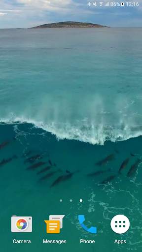 Dolphins Video Live Wallpaper screenshot 2