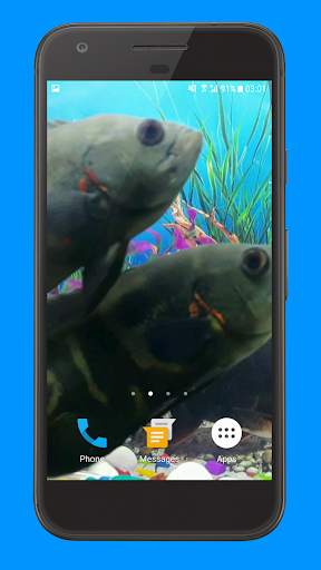 Oscar Fish Aquarium Video 3D screenshot 3