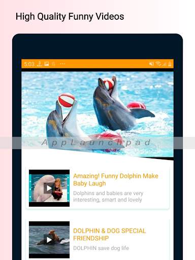 Funny Video Clips screenshot 15