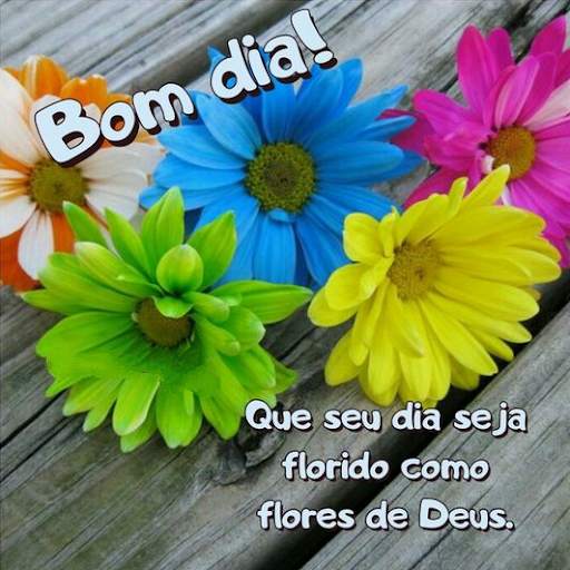 Bom dia, Boa tarde e boa noite screenshot 1