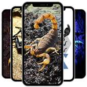 Picture Scorpio Home Screen & Lock