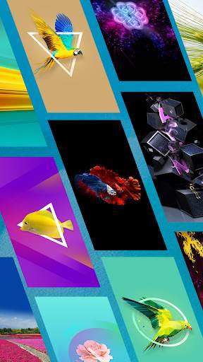 Expert Wallpaper - 4K Backgrounds screenshot 14