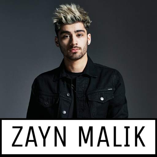 Zayn Malik All Song Offline 1.0