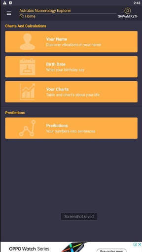 Numerology Explorer by Astrobix скриншот 8