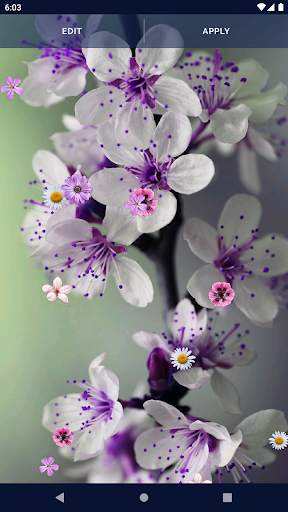 Spring Flowers Live Wallpaper screenshot 6