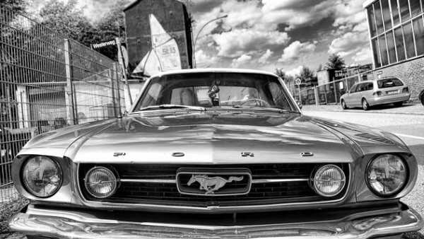 Mustang Wallpapers screenshot 2