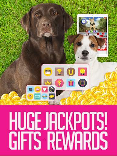 Boom Bingo: Live Bingo & Slots screenshot 21