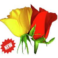 Flowers stickers 2020 🌹 WAStickerApps flowers on 9Apps