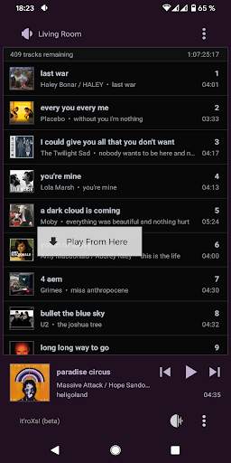 it'roXs! - eXtends your Roon music player screenshot 5