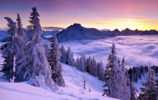 Christmas Wallpapers Christmas Backgrounds screenshot 1