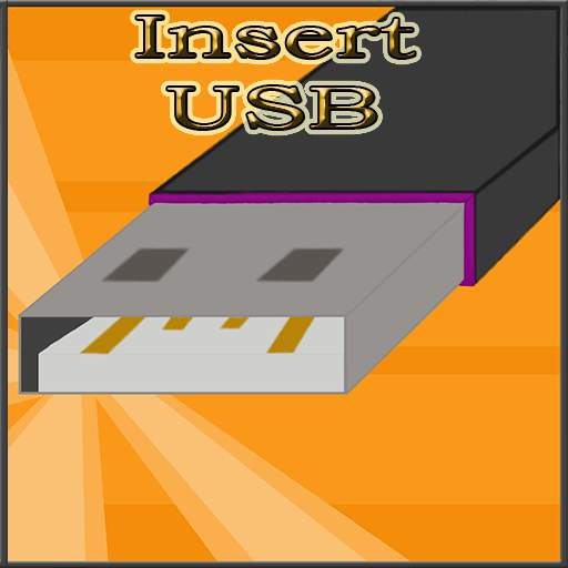 Insert USB 1.6