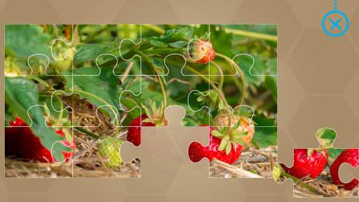 Fruits and Vegetables for Kids - Flashcards Puzzle скриншот 15