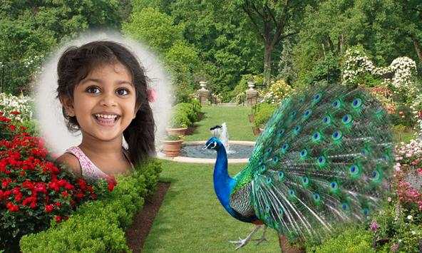 Peacock Photo Frames screenshot 1