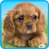 Talking puppy icon