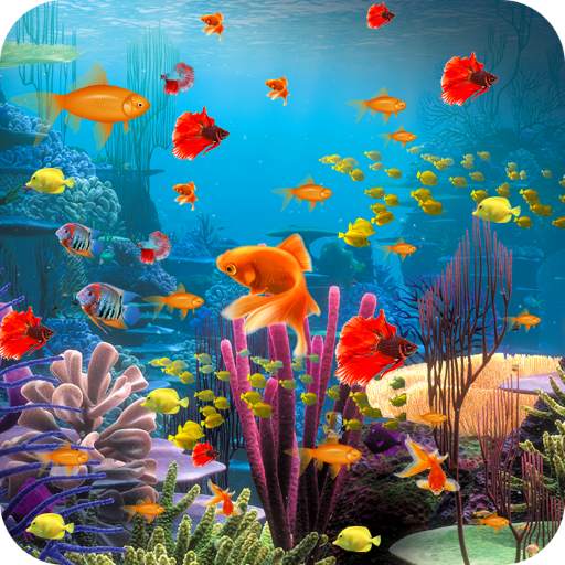 Fish Live Wallpaper Machhali Live Wallpaper 2.0
