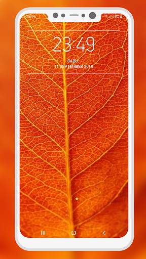 Orange Wallpaper screenshot 12