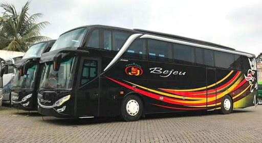 Bus Patas Wallpaper screenshot 2