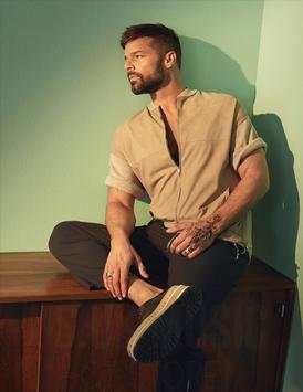 Ricky Martin - Offline Music screenshot 1