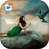 Live Birds Photo Editor : Cinamagraph Animation 2