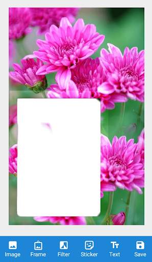 Flowers Photo Frame : Lovely Flowers Frame 2020 screenshot 7