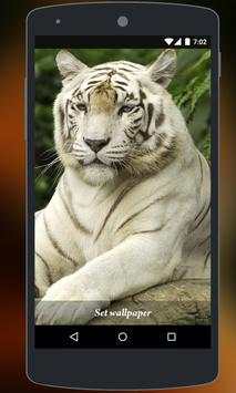 Tiger Live Wallpaper screenshot 5