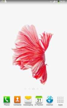 Betta Fish 6S Live Wallpaper स्क्रीनशॉट 8