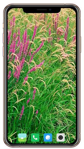HD Grass Wallpaper screenshot 10