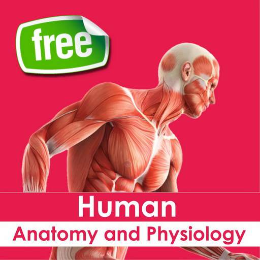 Human Anatomy and Physiology 1.3