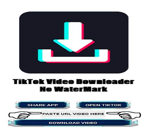 Video TikTok Downloader No Watermark screenshot 16