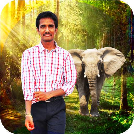 Forest photo editor - forest photo frames 1.0