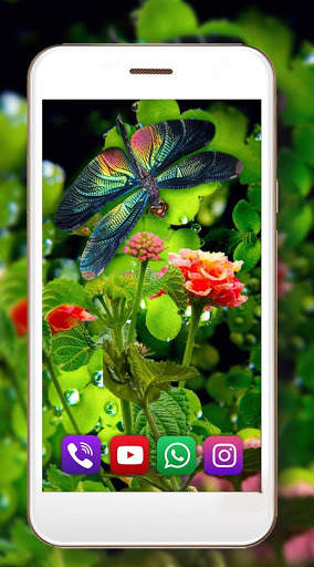 Dragonfly Live Wallpaper screenshot 6