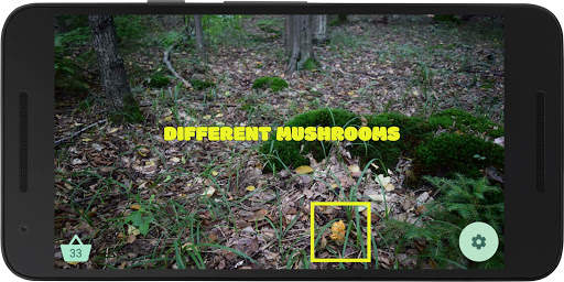 Mushroom picker 2 - try to find real mushrooms screenshot 3