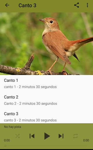 Nightingale Song screenshot 2