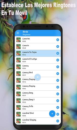 Tonos De Pajaros Para Celular Gratis screenshot 2