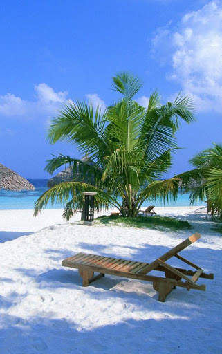 Beach HD Wallpaper screenshot 2