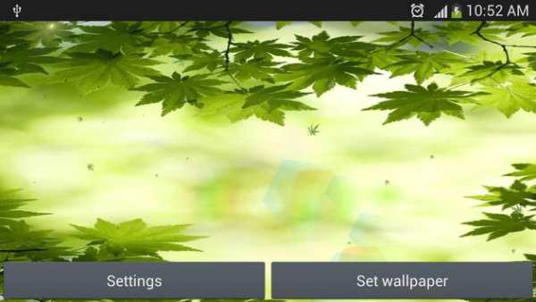 green leaf live wallpaper screenshot 1