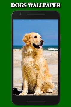 Dogs Wallpaper 3 تصوير الشاشة
