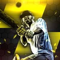 Cricket Match Scores