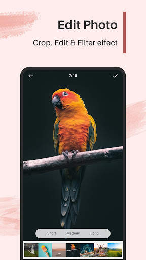 Gallery - Photo, Album & Video Player screenshot 4